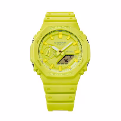 GA-2100-9A9 общий вид